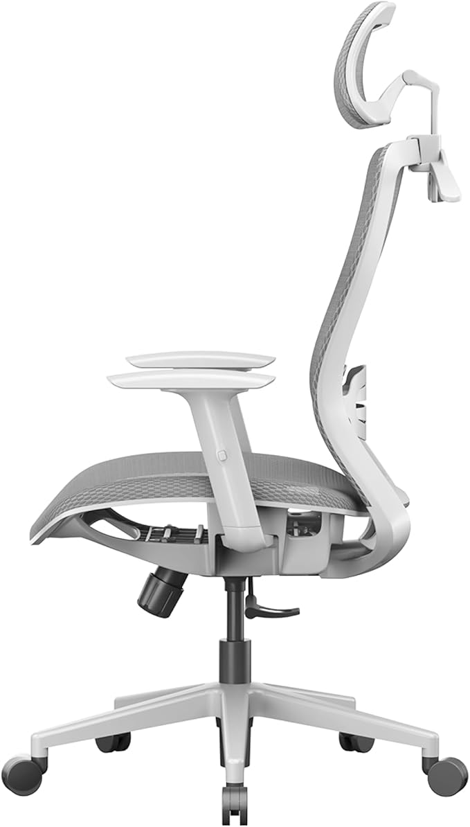 FLEXISPOT OC3 Air Ergonomic Office Chair High Back Computer Chair with Adjustable Lumbar Support/Armrest/, Breathable Mesh Seat Cushion Backrest, Chairs for Home Office Gaming Working, Light Gray