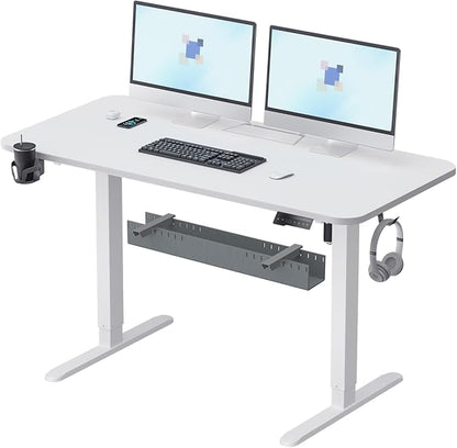 Electric Standing Desk with Cable Management Tray,55x24 Inch Adjustable Height Sit Stand Desk,with Memory Presets & Anti-Collision Computer Desk,for Office,Home,White Top&White Frame