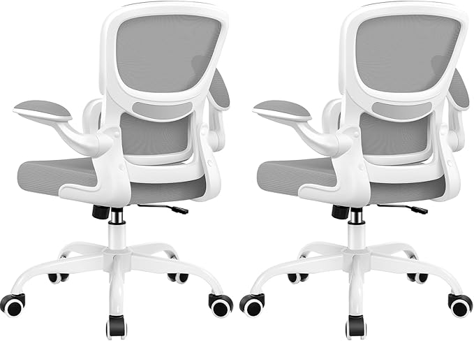 Office Chair Ergonomic Desk Chair, Breathable Mesh Comfy Chair with Lumbar Support, Home Desk Chair with Flip-up Armrests, Gaming Chair for Adults Home Office (LightGray,2Pack)