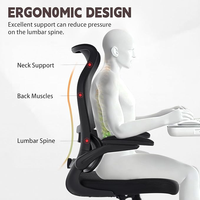 Ergonomic Office Chair, High Back Breathable Mesh Computer Desk Chair with Adjustable Lumbar Support and Flip-Up Armrests, 300LB Capacity Executive Swivel Task Gaming Seat for Home and Office (Black)