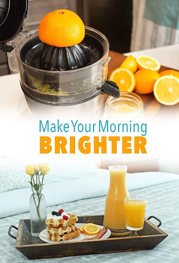 Vinci Hands Free Electric Citrus Juicer, 1-Button Juicer Machine, Orange Lime Grapefruit Lemon Squeezer, Easy to Clean Orange Juicer Squeezer, Black/Stainless Steel