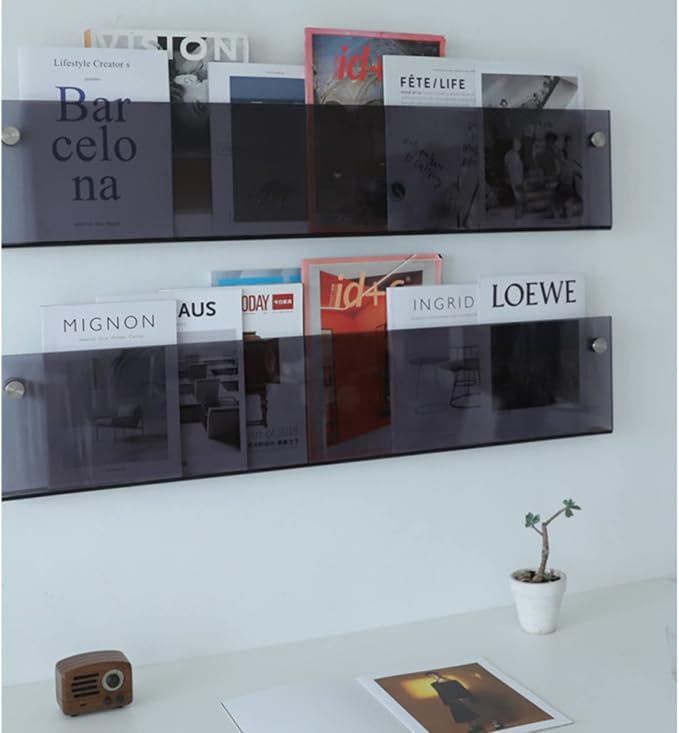 ROYALITA 2-Pack Acrylic Magazine Holder Brochure Holder, 17" Record Holder Magazine Rack, Fashion Hanging Bookshelf Literature Storage Rack for Waiting Room, Living Room, Office, Gray