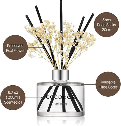 COCODOR Preserved Real Flower Reed Diffuser/Cashmere Vanilla / 6.7oz(200ml) / 2 Pack/Reed Diffuser Set, Oil Diffuser & Reed Diffuser Sticks, Home Decor & Office Decor, Fragrance and Gifts