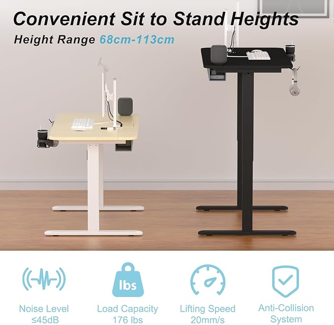 Electric Standing Desk with Cable Management Tray,48x24 Inch Adjustable Height Sit Stand Desk,with Memory Presets & Anti-Collision Computer Desk,for Office,Home,Black Top&Black Frame