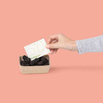 FRESHPAPER Keeps Fruits & Vegetables Fresh for 2-4x Longer, 24 Reusable Food Saver Sheets for Produce (3 Packs), Made in the USA
