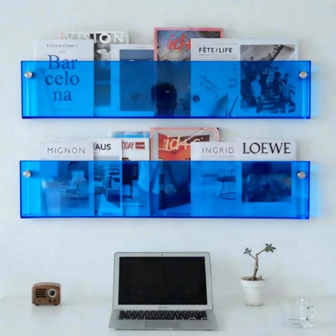 ROYALITA 2-Pack Acrylic Magazine Holder Brochure Holder, 36" Record Holder Magazine Rack, Fashion Hanging Bookshelf Literature Storage Rack for Waiting Room, Living Room, Office