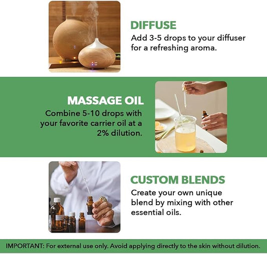 Majestic Pure Essential Oil with Glass Dropper - 100% Pure and Natural - Essential Oils for Diffuser, Aromatherapy, Soap and Candle Making, Tea Tree Essential Oil, Tea Tree Oil, 1 Fl Oz