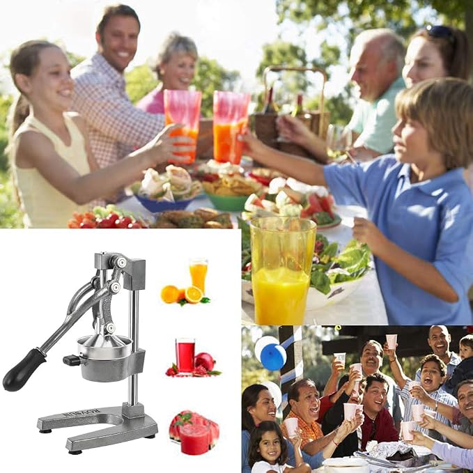 ROVSUN Commercial Grade Citrus Juicer Hand Press Manual Fruit Juicer Juice Squeezer Citrus Orange Lemon Pomegranate (Grey)