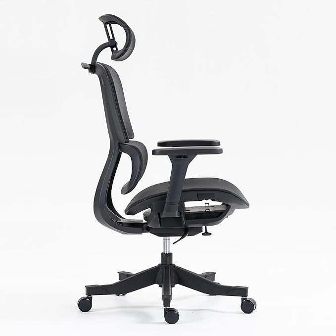 Ergonomic Office Chair with Independent Lumbar Support, Adjustable Height & 360° Swivel for Home Office Workstation (Black)