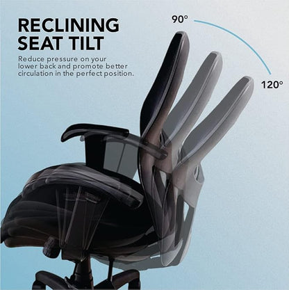 Seating Sola LT Ergonomic Office Chair | Comfortable Mid Back Computer Chair | Back Support Office Chair | Ultra-Soft | Ergonomic Lumbar Support Chair | (Sapphire Blue)