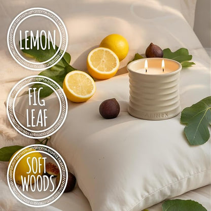Annex Fig Leaf & Lemon Luxury Scented Candle - Handmade Ceramic Jar - 50hr Clean Burn, Non-Toxic Soy Wax - Aesthetic Home Decor Winter Gift for Women & Men - Amber & Sandalwood
