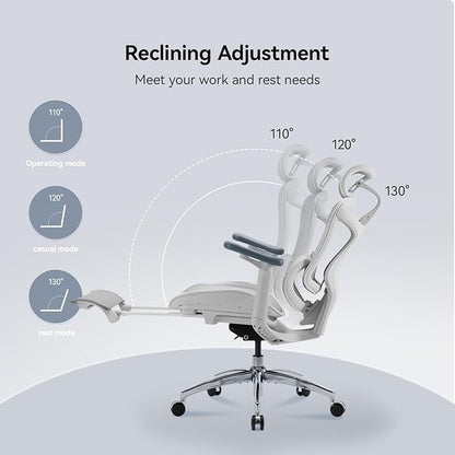 SIHOO Doro C300 Ergonomic Office Chair with Footrest, Ultra Soft 3D Armrests, Dynamic Lumbar Support for Home Office Chair, Adjustable Backrest Desk Chair, Swivel Big and Tall Computer Chair (Grey)