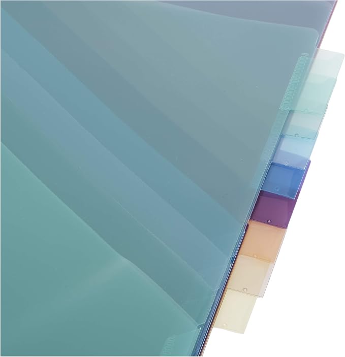 Amazon Basics Tab Dividers for 3 Ring Binder, Two Pocket, Letter Size, Transparent Assorted Colors, 24 Count (Pack of 2)