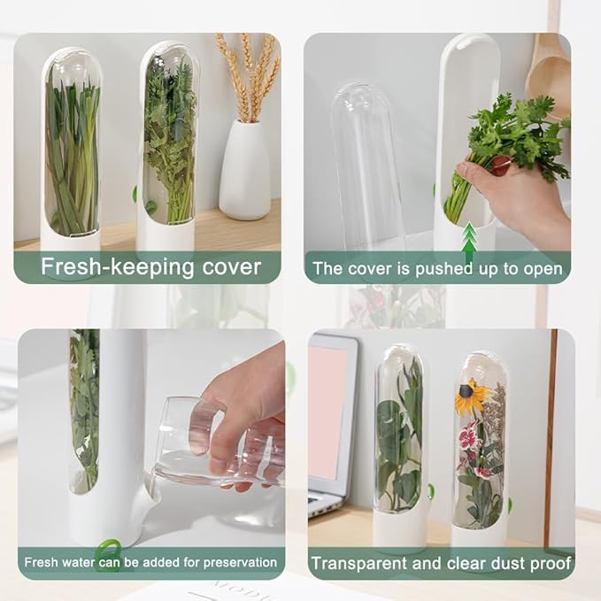 2 Pack Herb Keeper Container for Refrigerator, Clear Storage Bottle for Cilantro Parsley Mint, Fresh Produce Saver, Extends Freshness for 2-3 Weeks