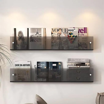 ROYALITA 2-Pack Acrylic Magazine Holder Brochure Holder, 17" Record Holder Magazine Rack, Fashion Hanging Bookshelf Literature Storage Rack for Waiting Room, Living Room, Office, Gray