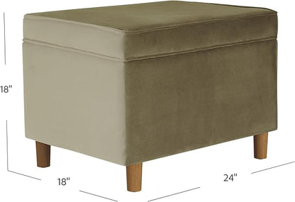 Spatial Order Home Decor | Dinah Collection Modern Storage Ottoman | Ottoman with Storage for Living Room & Bedroom(Light Sage Green Velvet)