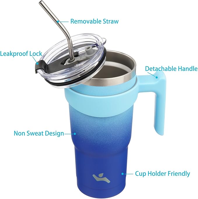 20 oz Tumbler with Handle and 2 Straw 2 Lid, Insulated Water Bottle Stainless Steel Vacuum Cup Reusable Travel Mug,Sky