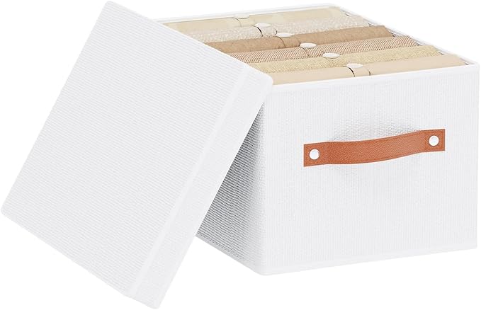 YheenLf Foldable Storage Bin, 7.1 x 9.1 x 13 Inch Storage Box with Lid, Closet Organizer for Organizing with Handles, White, 1-Pack