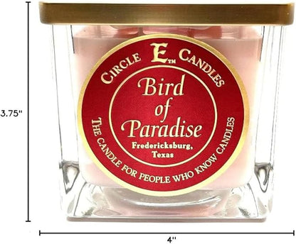 Circle E Candles, Bird of Paradise Scent, Medium Size Jar Candle, 22oz, 2 Wicks