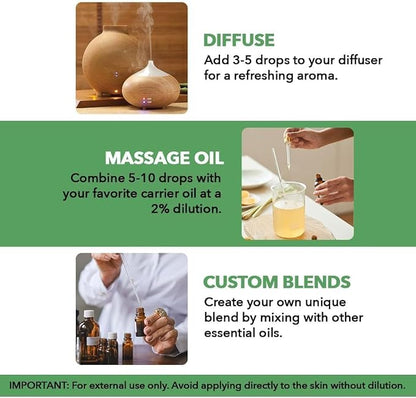 Majestic Pure Essential Oil with Glass Dropper - 100% Pure and Natural - Essential Oils for Diffuser, Aromatherapy, Soap and Candle Making, Tea Tree Essential Oil, Tea Tree Oil, 4 Fl Oz