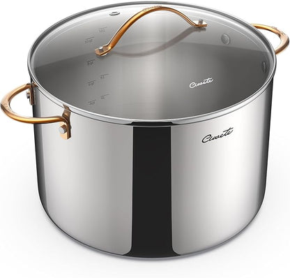 Ciwete 12 Quart Stock Pot with Lid, Upgraded Tri-Ply Stainless Steel Pot, Seamless Large Cooking Pot with Stay-Cool Brass Handle, Healthy Polished Stockpots, Induction Cookware, Oven & Dishwasher Safe