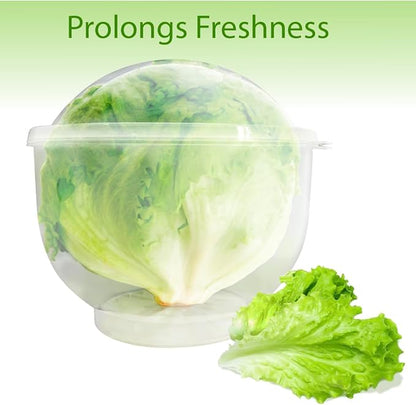 Trenton Gifts Lettuce And Vegatable Storage Keeper | 7" X 8"