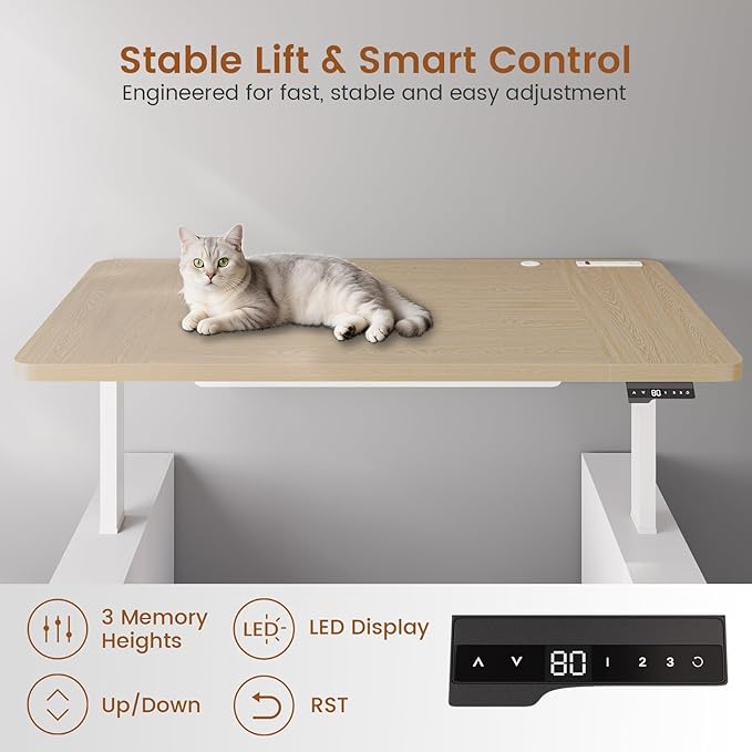 SEDETA 63" Executive Standing Desk with Storage, Executive Height Adjustable Desk with Power Outlets, Large Computer Office Desk with Privacy Panel for Home Office, Natural Oak