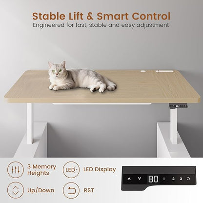 SEDETA 63" Executive Standing Desk with Storage, Executive Height Adjustable Desk with Power Outlets, Large Computer Office Desk with Privacy Panel for Home Office, Natural Oak
