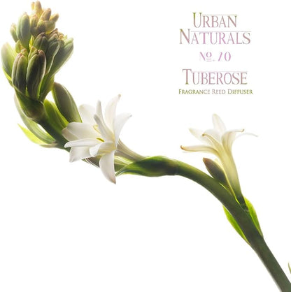 Urban Naturals Tuberose Fragrance Oil Reed Diffuser | Exotic Tuberose and Fragrant Orange Blossom | Floral Room Freshener with Reeds | Vegan. Made in The USA