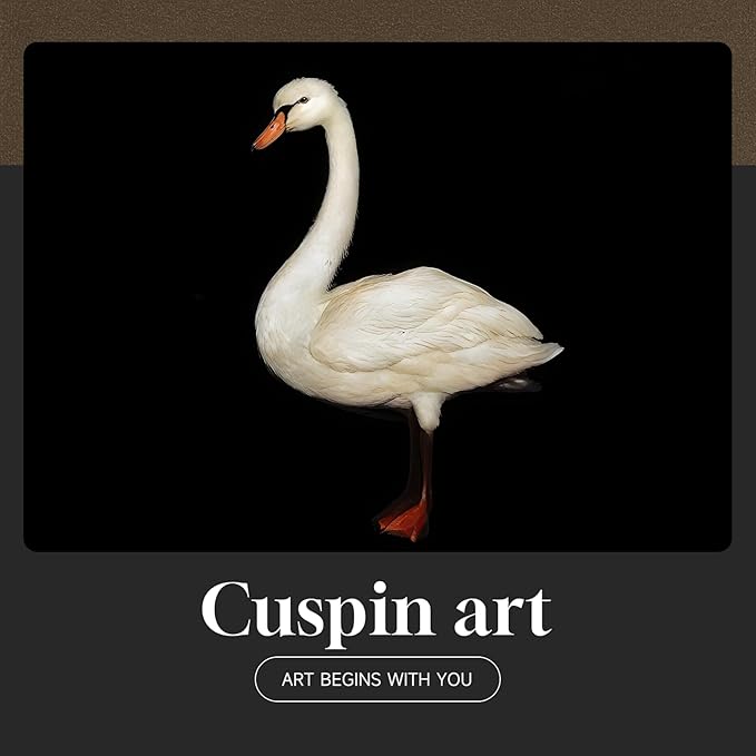 Framed Black and White Modern Wall Art, 1 Piece Square Bird Wall Art Prints Paintings Artwork for Walls, Contemporary Minimalist Swan Pictures for Dining Bedroom Bathroom Lounge Hallway Decor 24x24 In
