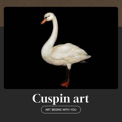 Framed Black and White Modern Wall Art, 1 Piece Square Bird Wall Art Prints Paintings Artwork for Walls, Contemporary Minimalist Swan Pictures for Dining Bedroom Bathroom Lounge Hallway Decor 24x24 In