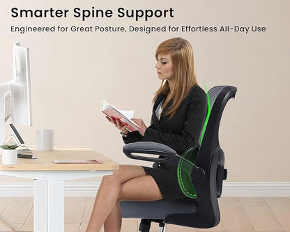 Ergonomic Office Chair, Comfy Desk Chair with Adjustable Lumbar Support, Mesh Computer Chair with Wheels, Flip-up Armrests, Swivel Rolling Executive Chair for Home Office, Gaming, Dark Gray