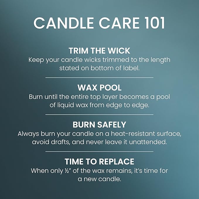 Yankee Candle Large Tumbler Scented Candle with up to 80 Hour Burn Time, Premium Plant Wax Blend for Consistent Burn, 20 oz Tumbler Candle with Room Filling Fragrance, Bayside Cedar