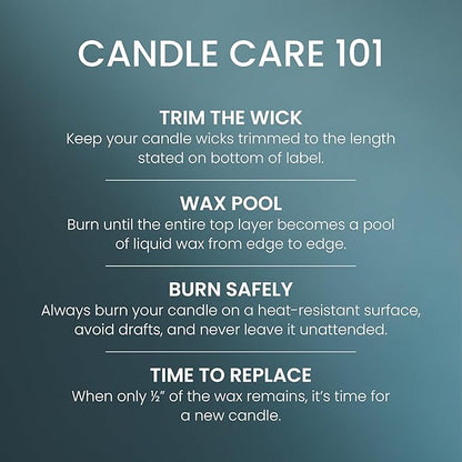 Yankee Candle Large Tumbler Scented Candle with up to 80 Hour Burn Time, Premium Plant Wax Blend for Consistent Burn, 20 oz Tumbler Candle with Room Filling Fragrance, Bayside Cedar