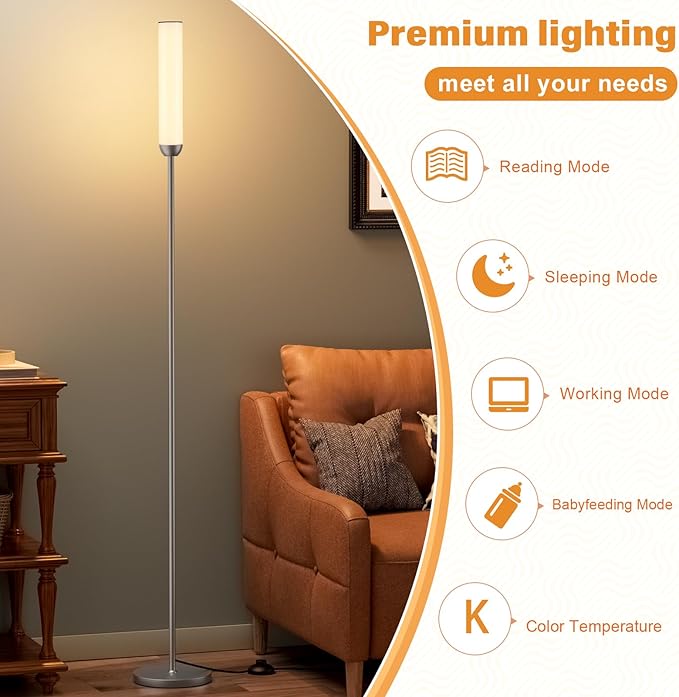 Ambimall LED Floor Lamp with Remote Control, 65" Standing lamp with Stepless Adjustable 3000K-6500K Colors & 30-100% Brightness, Foot Switch(Deep Grey) (Pack of 2)
