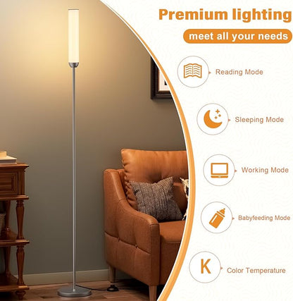 Ambimall LED Floor Lamp with Remote Control, 65" Standing lamp with Stepless Adjustable 3000K-6500K Colors & 30-100% Brightness, Foot Switch(Deep Grey) (Pack of 2)