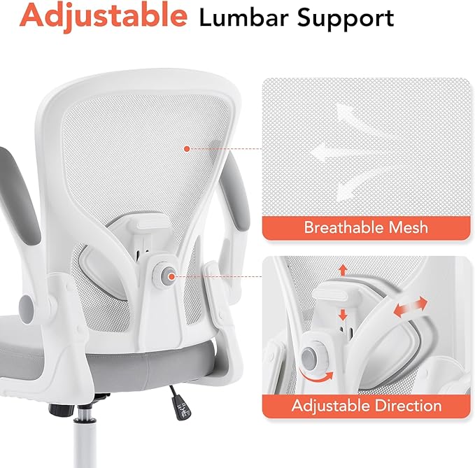 Ergonomic Office Chair, Computer Desk Chair with Adjustable Lumbar Support and Flip-up Armrests, Rocking Function, Comfy Mesh Office Desk Chair for Home Office, Grey