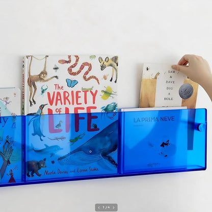 ROYALITA 2-Pack Acrylic Magazine Holder Brochure Holder, 36" Record Holder Magazine Rack, Fashion Hanging Bookshelf Literature Storage Rack for Waiting Room, Living Room, Office