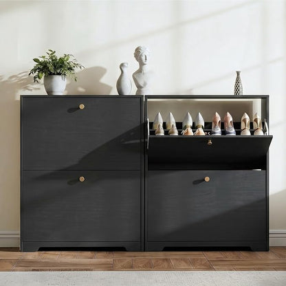 Nicetree Shoe Cabinet with 2 Flip Drawers, Narrow Shoe Organizer Cabinet, Freestanding Shoe Rack Cabinet, Modern Shoe Storage Cabinet for Entryway, Hallway, Foyer, Black with Hook