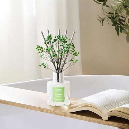 Airkeep Reed Diffuser Set,3.38 fl oz (100 ml) - Cucumber Melon Oil Diffusers with 8 Reed Sticks, Home Fragrance Reed Diffuser for Bathroom Shelf Decor
