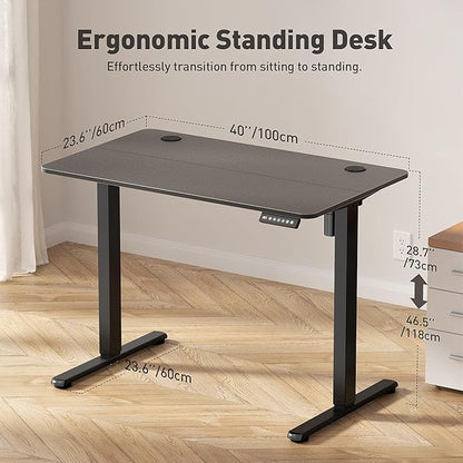 40" Electric Standing Desk Adjustable Height, Ergonomic Sit Stand Computer Desk for Home Office, Sturdy Motorized Workstation with Memory Controller & Timer, Carbon Fiber Black