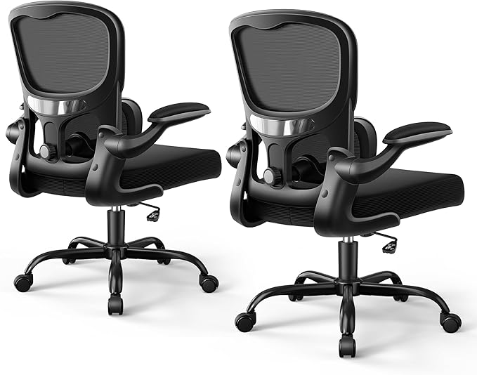 Ergonomic Office Chair, Breathable Mesh Ergonomic Desk Chair with Adjustable Lumbar Support, Flip-up Armrests, Computer Chairs Comfortable for Home, Office, Work, 300lbs, Black (2Pack)