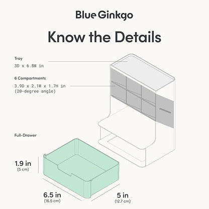 BLUE GINKGO Hive Desk Organizer – Vertical 6-Compartment, Full-drawer Storage – Space-Saving Pen Holder, Stationery Storage – Organizer for Office, School Supplies, Makeup (Made in Korea, Blue)