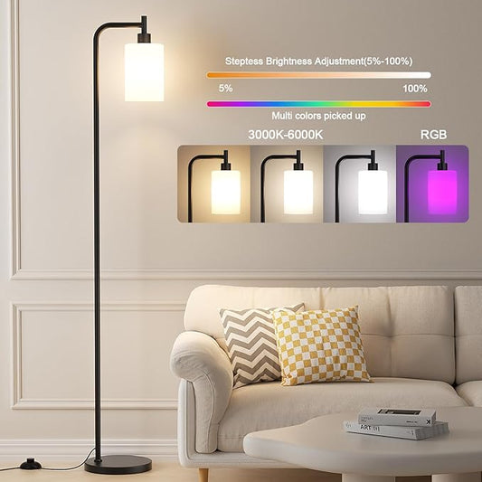 RGB Floor Lamps for Living Room, Dimmable Industrial Standing Lamp with Remote Control for Bedroom Office Corner, 3 Colors Temperature, White Glass Shade, 9W RGB LED Bulb