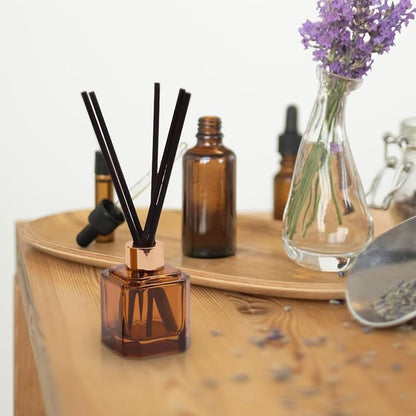 Paddywax Botanica Scented Oil Diffuser with Reeds in Reusable Amber Glass Bottle, Tubed Gift Box, Includes Diffuser Sticks, Long-Lasting Fragrance, Reusable & Upcyclable, Leather & Smoke, 2.8 fl oz