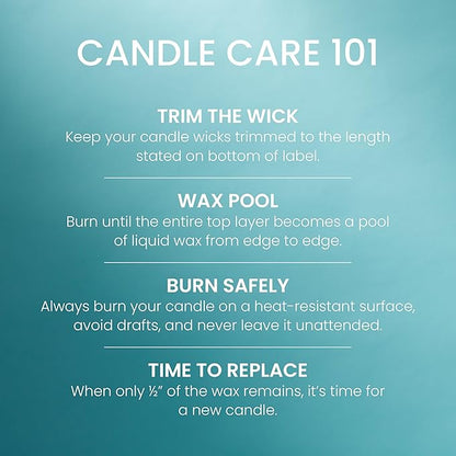 Yankee Candle Catching Rays, Scented Candle, 14.5oz 3-Wick Candle Jar with up to 40 Hours Burn Time