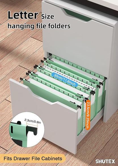 Extra Capacity Plastic Hanging File Folders, Hanging Folders, 12 Pack Reinforced Heavy Duty 2 Inch Expansion, Filing Cabinet Folders Letter Size for Bulk Files/Medical Charts(Sage Green)