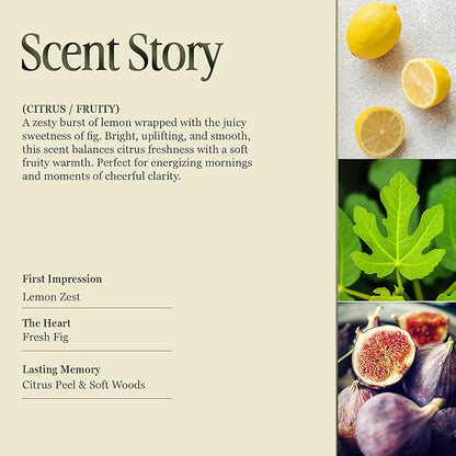 Annex Fig Leaf & Lemon Luxury Scented Candle - Handmade Ceramic Jar - 50hr Clean Burn, Non-Toxic Soy Wax - Aesthetic Home Decor Winter Gift for Women & Men - Amber & Sandalwood