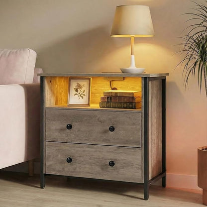 27 Inch Wide Night Stand, Large Wood Night Stand with 2 Drawers, LED Nightstand with Charging Station and Adjustable Drawer, Bedside Table for Living Room/Bedroom/Study/Office, Gray.