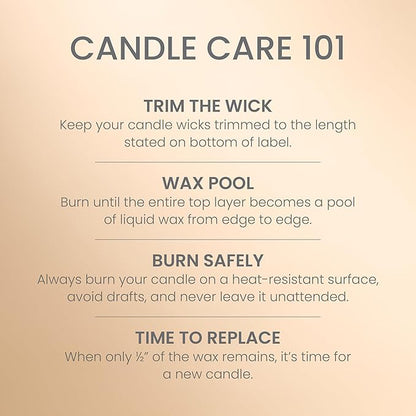 Yankee Candle Pumpkin Maple Crème Caramel, Holiday Scented Candle, 22oz Large Jar with up to 150 Hour Burn Time, Giftable